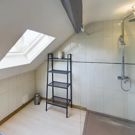 Le Loft Sous Les Toits - Proche Gare Apartment